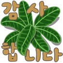 상 생 이미지