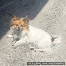 놀부카센타 이미지