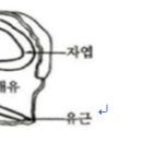 종자산업기사 필답 20-01 이미지