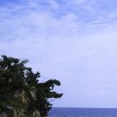 동해휴게소 이미지