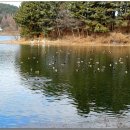 은파호수공원 9-9 이미지