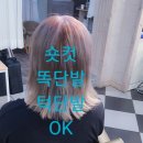 이쁜여우미용실