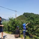 블루베리사슴농장 이미지