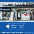 주안동물병원 이미지