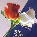 건새우, 황태, 검은콩 섭취로 3개월 만에 지팡이 없이 걷는 비법! 이미지