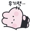 라로슈 이미지