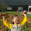 석천농장 이미지