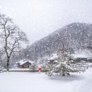 빅코인 전자정밀 이미지