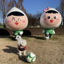 메디컬센터 | 김포 24시 동물 병원 야간진료 FM 동물 메디컬센터 후기