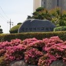 광주교육청 3월 1일자 2,819명 인사 발표[미래교육신문] 이미지