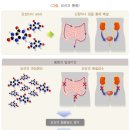 서울연세21세기의원 이미지