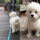 얼음땡 이미지