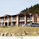 남해편백자연휴양림 이미지