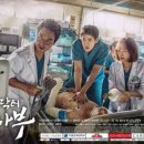 (SBS 드라마)낭만닥터 김사부 시즌1 줄거리 / 출연진 / 후기 - 사람 냄새나는 명품 의학 드라마