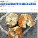 바늘놀이터