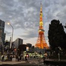 대임상사 | 이른둥이 육아일기[8] 생후 8개월 교정 6개월