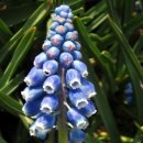 그림이있는 풍경 이미지