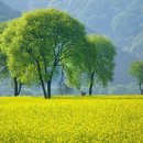 금암목장 이미지