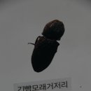 경북대학교글로벌프라자