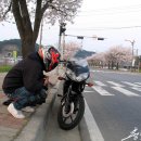 벚꽃로 이미지