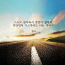 서경유화 이미지