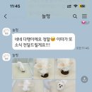 늘멍 네이버블로그