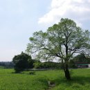 경기목장 이미지