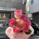 [대전 갈마동 꽃집] 기념일에 꽃은 필수! 대전 꽃다발 추천, 대전꽃집 땡스투꽃 후기