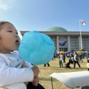 가-23 | 여의도 봄꽃축제 국회 봄소풍 후기｜23개월 아기랑 가볼만한 서울 벚꽃축제 꿀팁 총정리