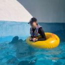 아산식당 | 아산 스파비스 동절기 겨울 이용 후기 / 점심 식당 / 구명조끼 대여 가격