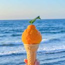 노을 게스트하우스 | 제주도 게스트하우스 노을 게스트하우스 후기추천 🌅 휴식과 파티 모두 가능 . 친구들이랑 제주여행