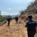 벌채지역 뉴스쉐어