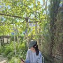 더컨테이너펜션 | 대부도펜션예약사이트 단체로 가기 좋은 독채 더컨테이너펜션