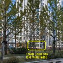 한라비발디파크젠 아파트 1305동 앞 어린이놀이터 | 2억8천입니다…운정한라비발디파크젠(운정신도시한라비발디파크젠,운정A17블럭,운정신도시A17블럭) 입니다.