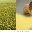 볼프강 이미지
