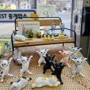 다윈상동공인중개사사무소 | 부천 상동 집 구할 땐 [한양 부동산]