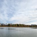 식물원 강아지 이미지