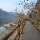 🐎🐎🐎🐎🐎🐎🐎2026년 병오년 신비한 약초세상 충청방 시산제🐎🐎🐎🐎🐎🐎🐎 이미지