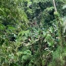 (주)유아이씨커머셜펌 이미지