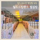 월드24사우나 | 광주 월드드림랜드 24시 찜질방 사우나 솔직후기