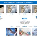 용바이오 이미지