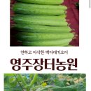 영주양품