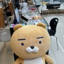 시력검사 제대로 해주는 청주안경점 : 아이패밀리안경콘택트 비하점
