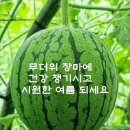 소이님 이미지