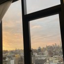 Newyork Day2 : 라이온킹 뮤지컬, 뉴욕시티베이글 앤 커피 하우스, 쉐이크 쉑 뉴욕, 타미스 다운타운 투어