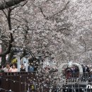 진해구 ⓒ-19 이미지