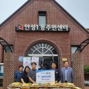 농축산마트 Daum카페