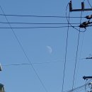 달이 떴다고 전화를 주시다니요 | 달이 떴다고 전화를 주시다니요