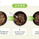 히비스독 이미지