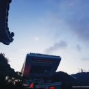 장예항 | [홍콩여행] 저녁에 가면 더 좋은 빅토리아 피크 / 피크트램 후기